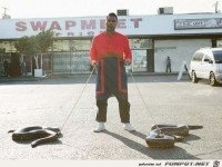 Verstoerende-Bilder-112