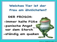 Welches Tier ist der Frau am �hnlichsten ?