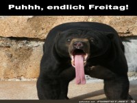 Freitag