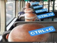 Kopieren und einf�gen