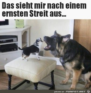 Streit-zwischen-Hunden.jpg auf www.funpot.net