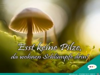 Esst keine Pilze
