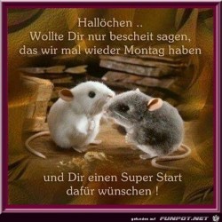 Schönen-Montag.jpg auf www.funpot.net
