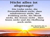 nicht alles