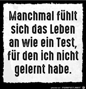 Das-Leben-ist-ein-Test.jpg auf www.funpot.net