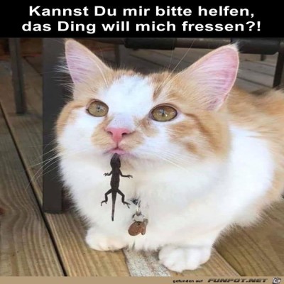 Das-Ding-will-mich-fressen.jpg von Henry
