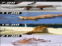 Das Fr�hlingswetter