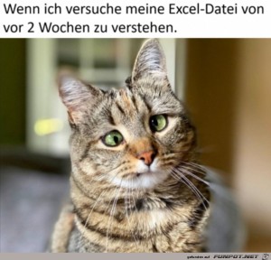 Ich-blicks-nicht.jpg auf www.funpot.net
