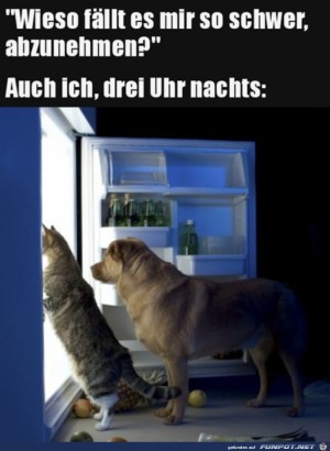 Warum-nehme-ich-nicht-ab?.jpg auf www.funpot.net