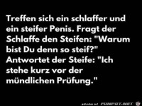 Die m�ndliche Pr�fung