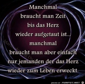 Manchmal-braucht-man-Zeit-bis-das-Herz-wieder-aufgetaut-ist.jpg auf www.funpot.net