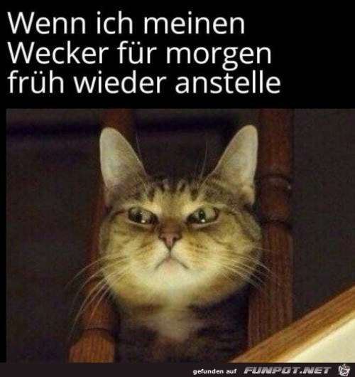 Wecker-stellen.jpg auf www.funpot.net