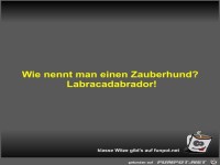 Wie nennt man einen Zauberhund?