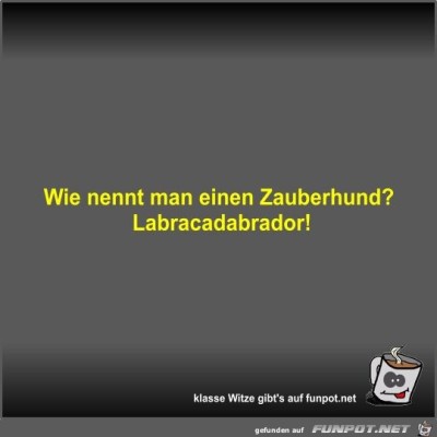 Wie-nennt-man-einen-Zauberhund?.jpg von Fossy
