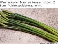 Tolle Fr�hlingszwiebeln