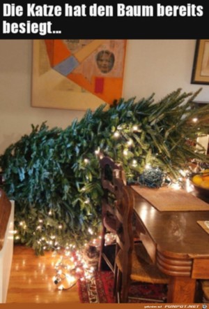 Baum-von-Katze-besiegt.jpg auf www.funpot.net