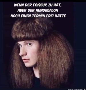 Der-Hundesalon-hatte-noch-einen-Termin-frei.jpg auf www.funpot.net