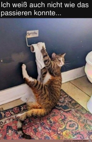 Keine-Ahnung-wie-das-passiert-ist.jpg auf www.funpot.net