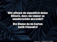 Lustiger Dialog über Gartenpflege