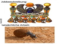 Kreative Darstellung des Skarabäus