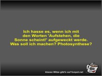 Ich hasse es, wenn ich mit den Worten 'Aufstehen, die Sonne