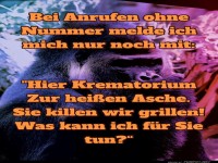 Lustiger Antwortspruch bei unbekannten Anrufen