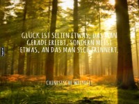 Glck mal anders: Erinnerungen im Wald