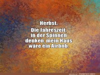 Spinnen willkommen im Herbst-Airbnb!
