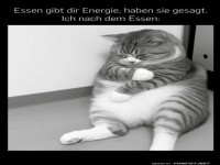 Nach dem Essen ist vor dem Nickerchen!