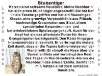 Stubentiger