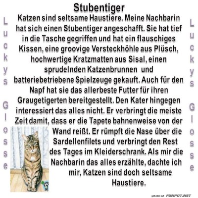 Stubentiger.jpg von lucky