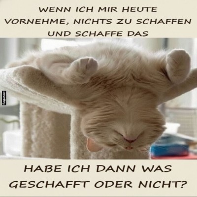 Fauler-Kater-Dilemma:-Erfolg-im-Nichtstun?.jpg von Gregor