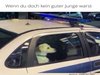 Unschuldig hinter Gittern