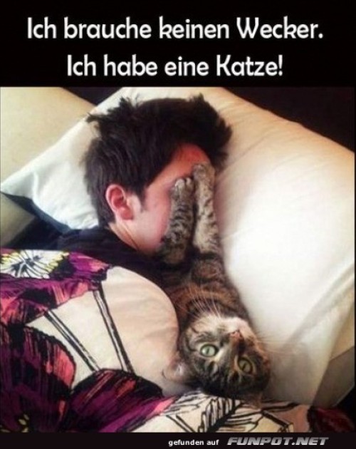 Der-pelzige-Wecker-Ersatz.jpg auf www.funpot.net