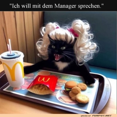 Friseurtermin-verpasst:-Katzen-Protest!.jpg von Josefin