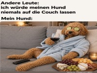 Wenn Hunde den Luxustag �bernehmen