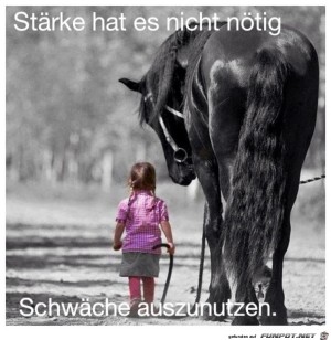 Staerke-hat-es-nicht-noetig.jpg auf www.funpot.net