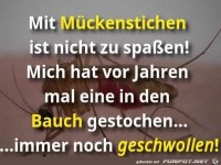 mit M�ckenstichen ist nicht zu spassen