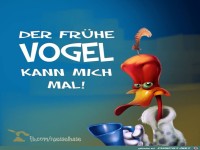 der fr�he Vogel - 00z
