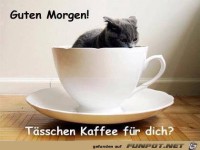 Taesschen Kaffee fuer dich