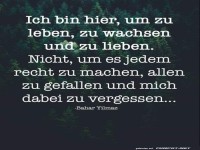 ich bin hier