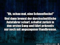 Eine Schneeflocke auf der Strae