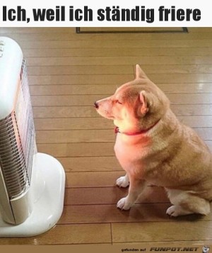 Ich-friere.jpg auf www.funpot.net