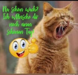 Schon-wach.jpg auf www.funpot.net
