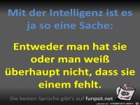 Intelligenz