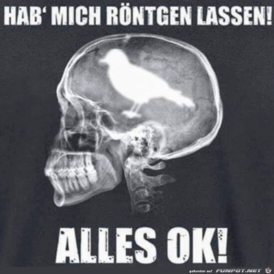 Lustiges-R&ouml;ntgenbild.jpg von Mia