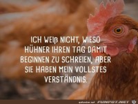 Verst�ndnis f�r H�hner