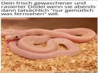 Enttäuschung