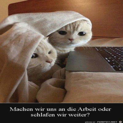 Wir-schlafen-weiter.jpg von Steven