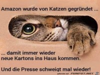 Von Katzen gegrndet